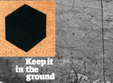 Keep it in the Ground